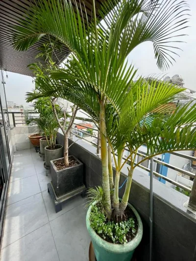 Uncle Anh Serviced Apartments – Photos 5